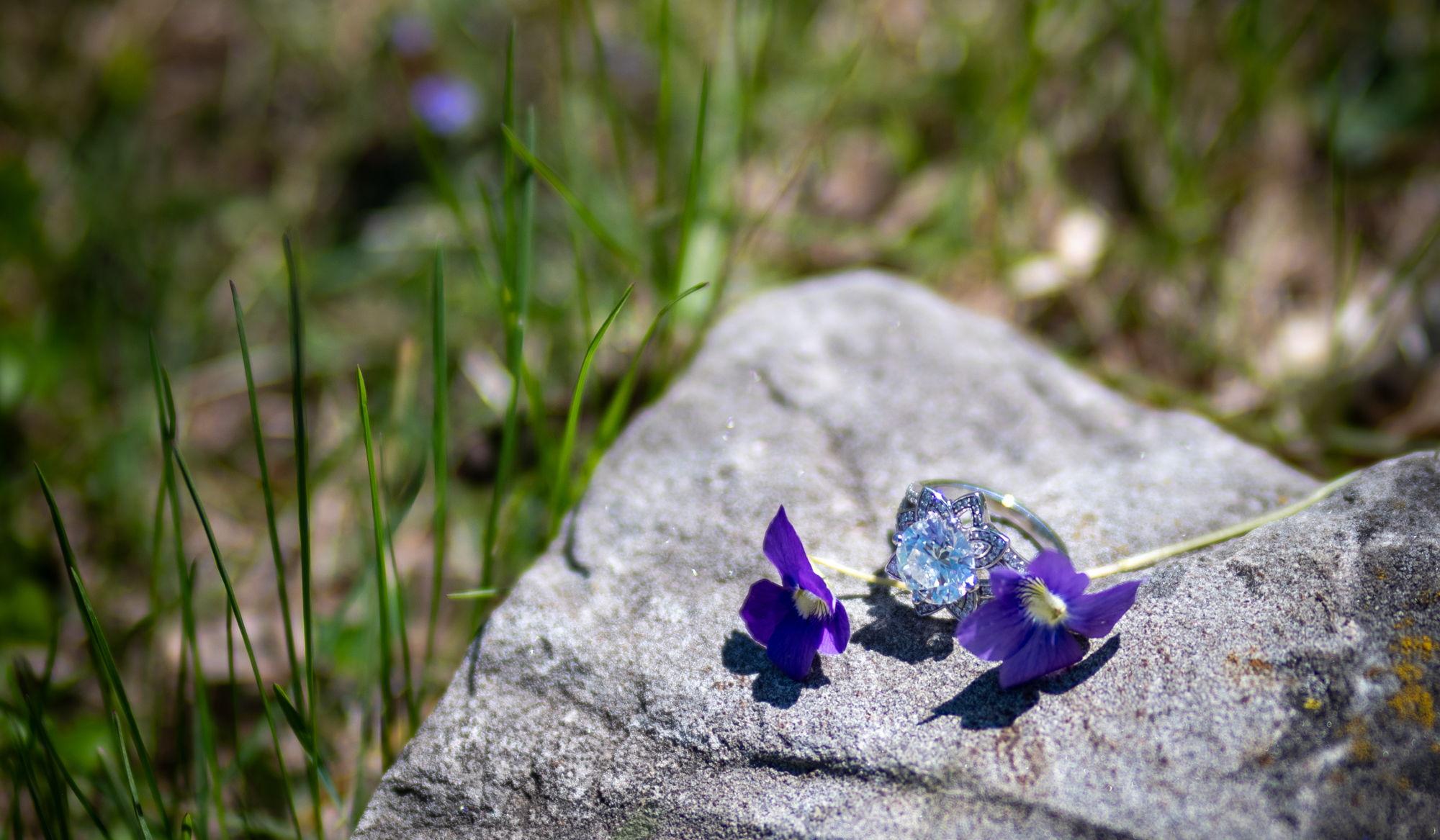 Hero Slideshow Image 2