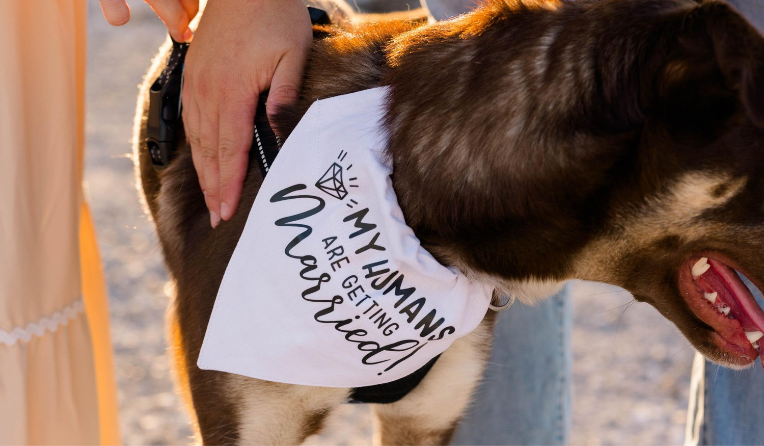The Wedding Website of Megan Adams and Luke Kessler