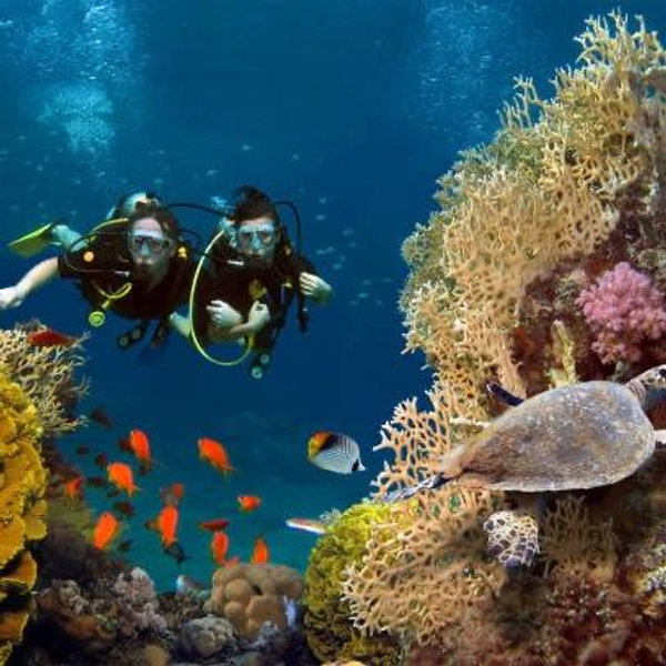 Scuba Honeymoon Experience