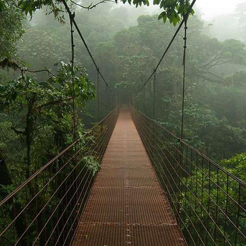 Honeymoon - Monteverde Cloud Forest Guided Tour