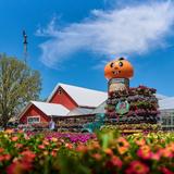 Goebbert's Farm - South Barrington