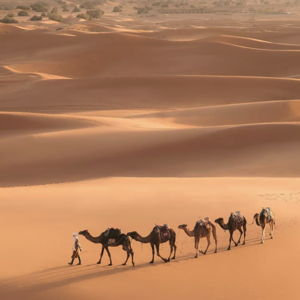 3 Day Desert Tour Through Morocco for 2