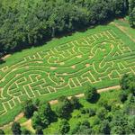 Coppal House Farm