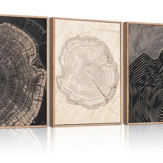 DRACIT Black Tree Ring Wall Art 12 * 16 Inch Framed Nature Neutral Canvas Wall Decor Modern Tree Spiral Artwork Set of 3 for Living Room Bedroom Office