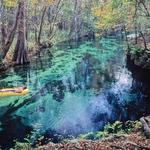 Ichetucknee Springs