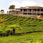 Historical & Cultural