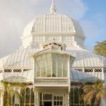 Conservatory of Flowers