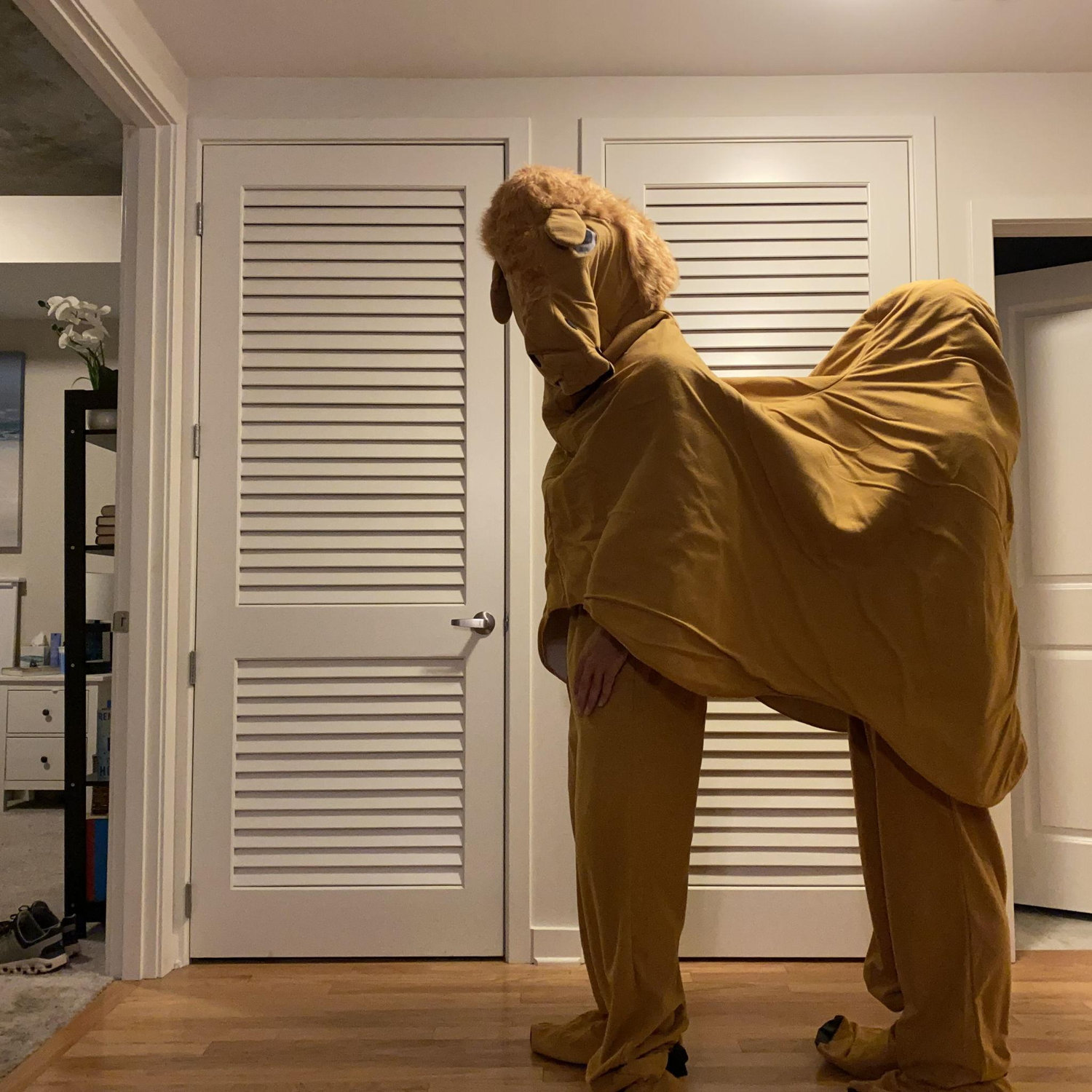 Mike mike mike, what day is it Mike??