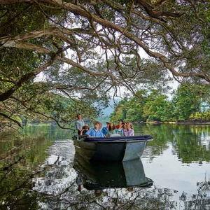 Daintree Safari