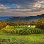 Hendersonville Wineries