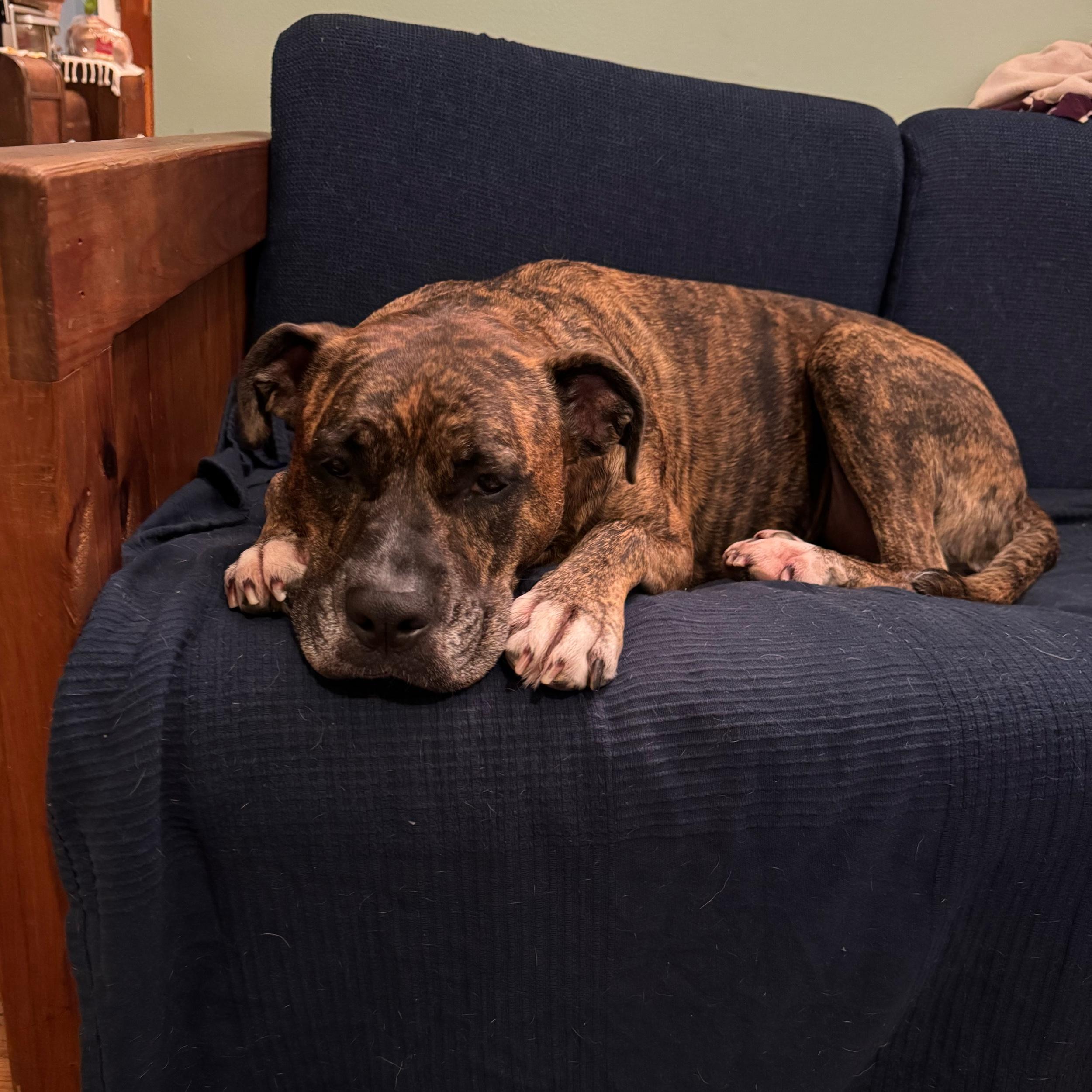New couch fund!