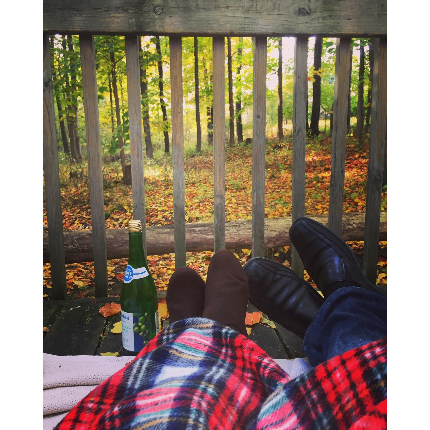 October 19, 2015
Picnic in the woods.