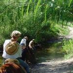 Full Day Trail Riding with Hot Springs Tours
