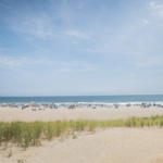 Any of LBI's Beautiful Beaches!