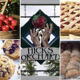 Hicks Orchard