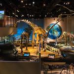 Perot Museum of Nature and Science