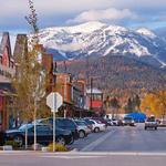 Whitefish