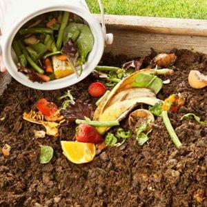 Compost Pickup Service