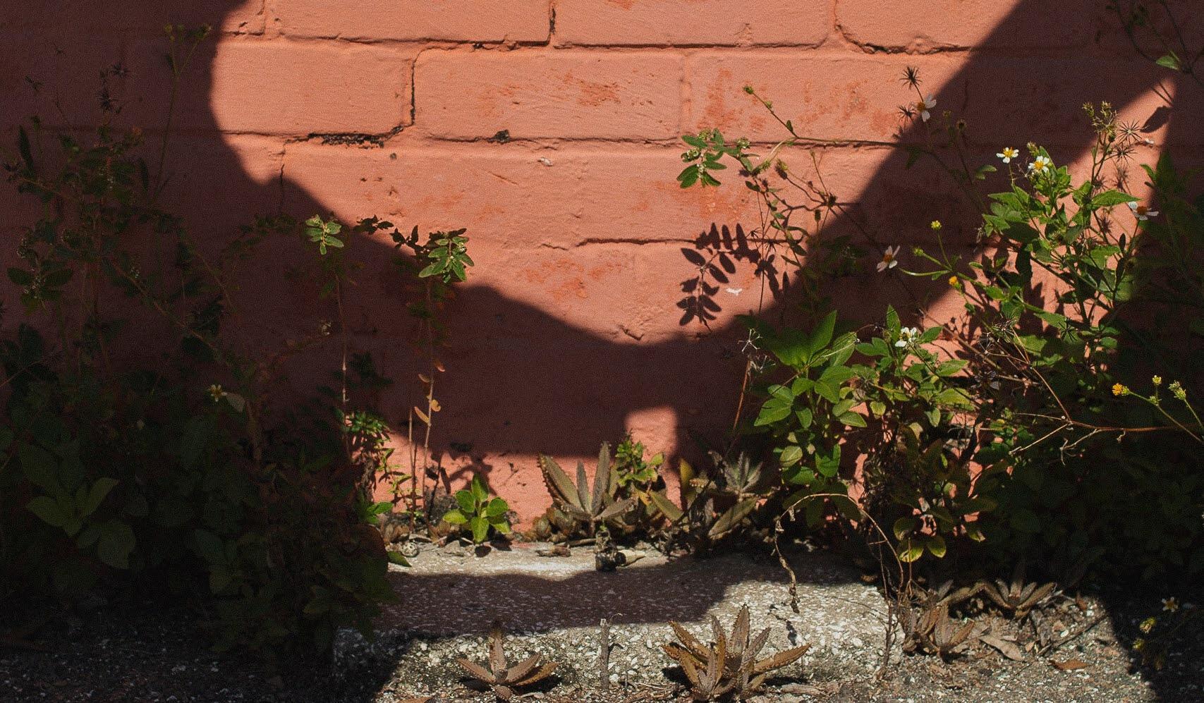 Footer image