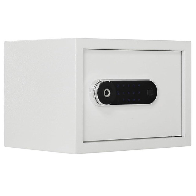 Home Safe Luxury Jewelry Safe with Fingerprint&Keypad Lock, Removable Shelf, Office Hotel High Security for safes, 1.0 Cubic Feet。(No fireproof bag, 9.8"H X 13.8"W X 10.8"D)