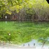 Reserva Ecológica El Corchito