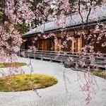 Portland Japanese Garden