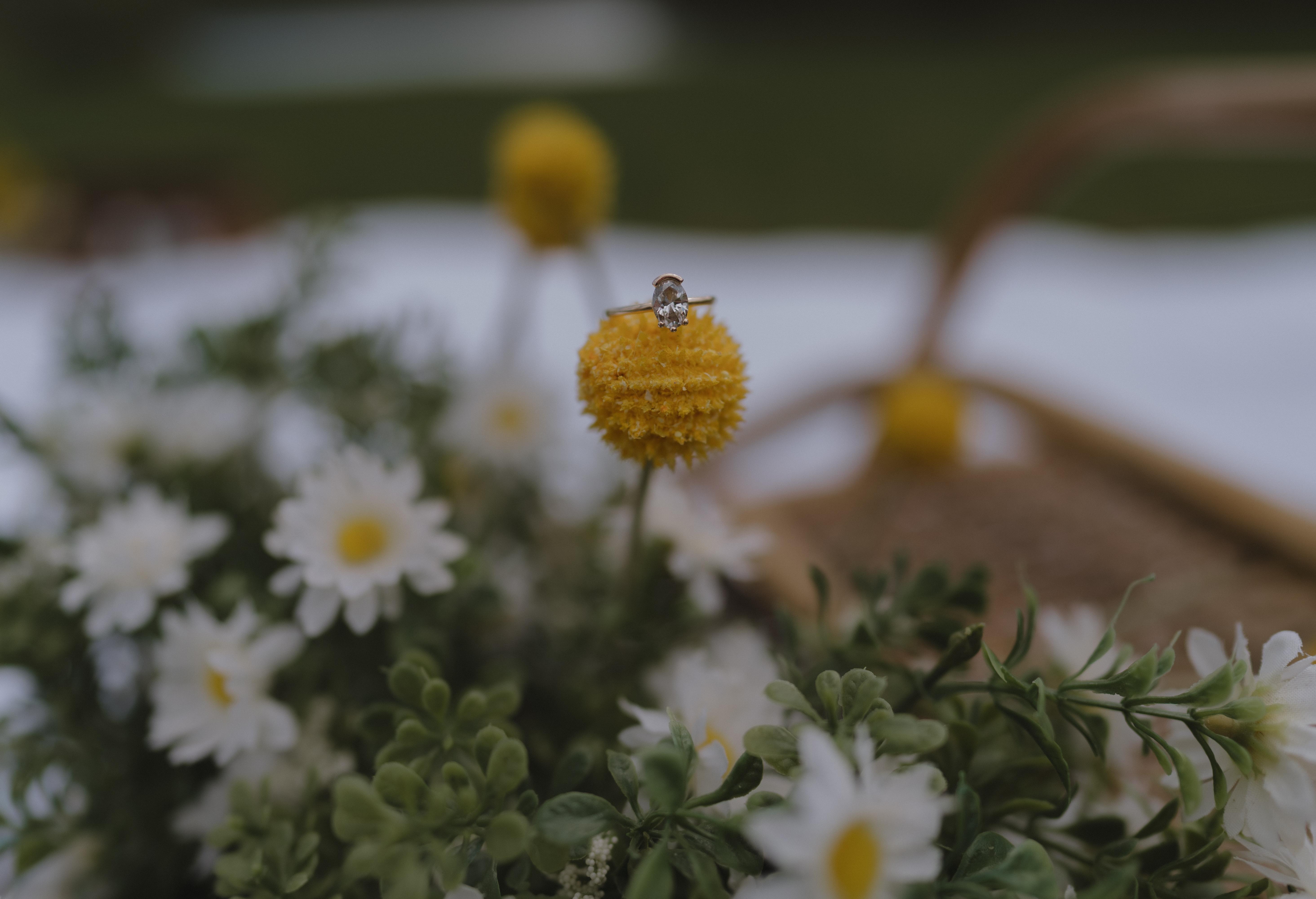 The Wedding Website of Benjamin Burgess and Brittany Mangan