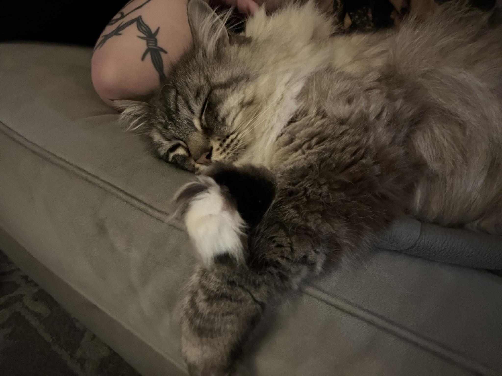 090701ba-f1c7-4eaf-a684-9435c6f73eee