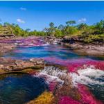 Caño Cristales - COLOMBIA