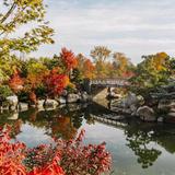 Frederik Meijer Gardens & Sculpture Park