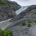 Exit Glacier Trailhead