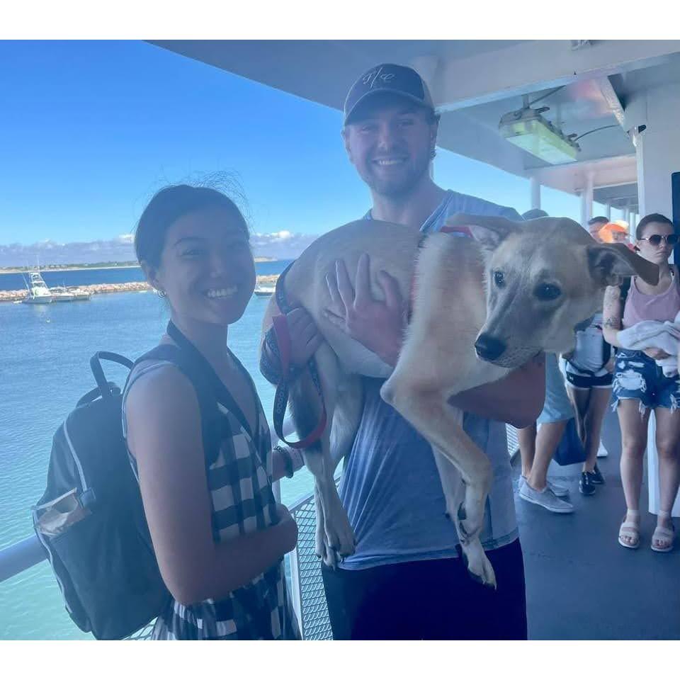 Bringing Mozzie to Block Island