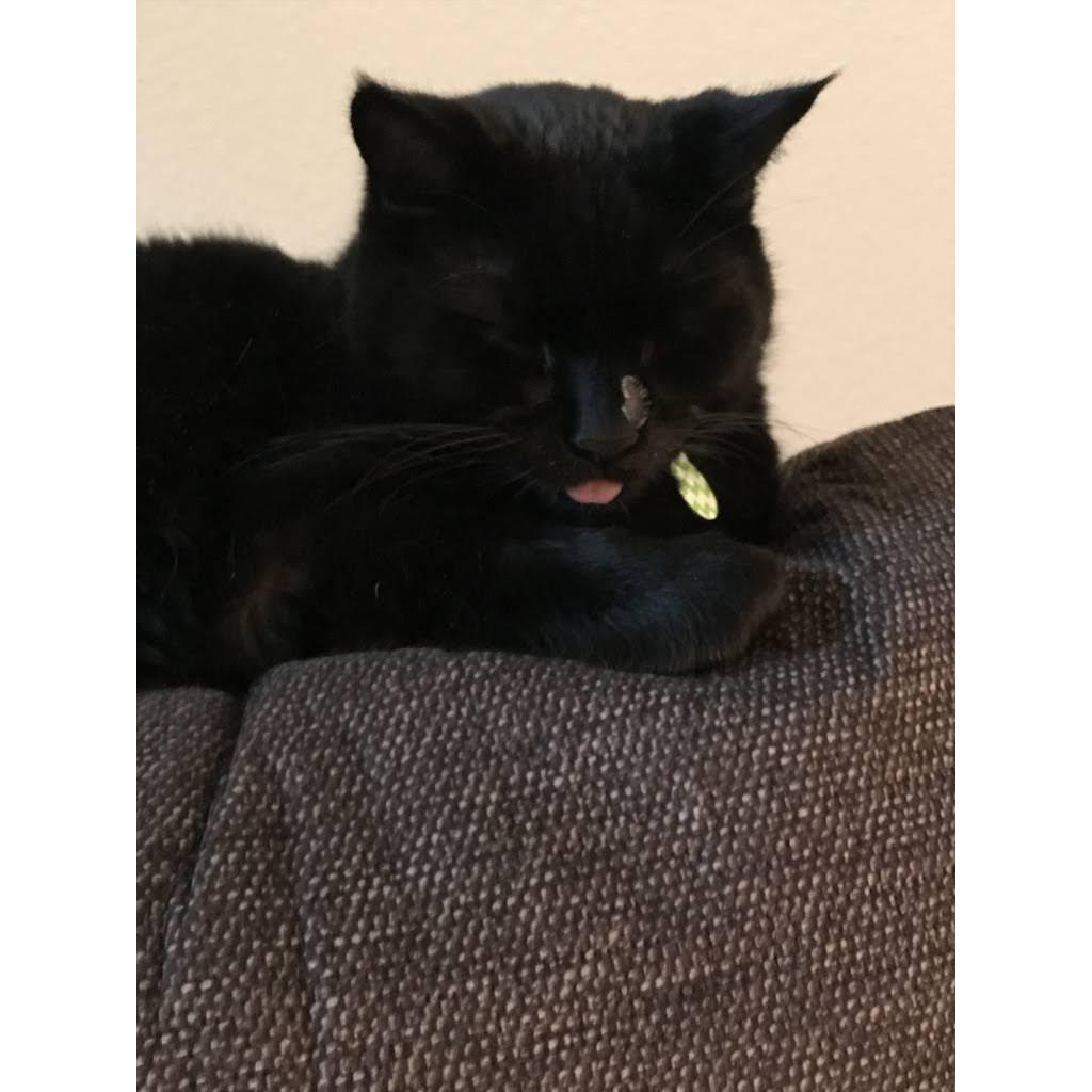 our silly boy