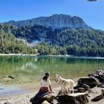 Mammoth Lakes