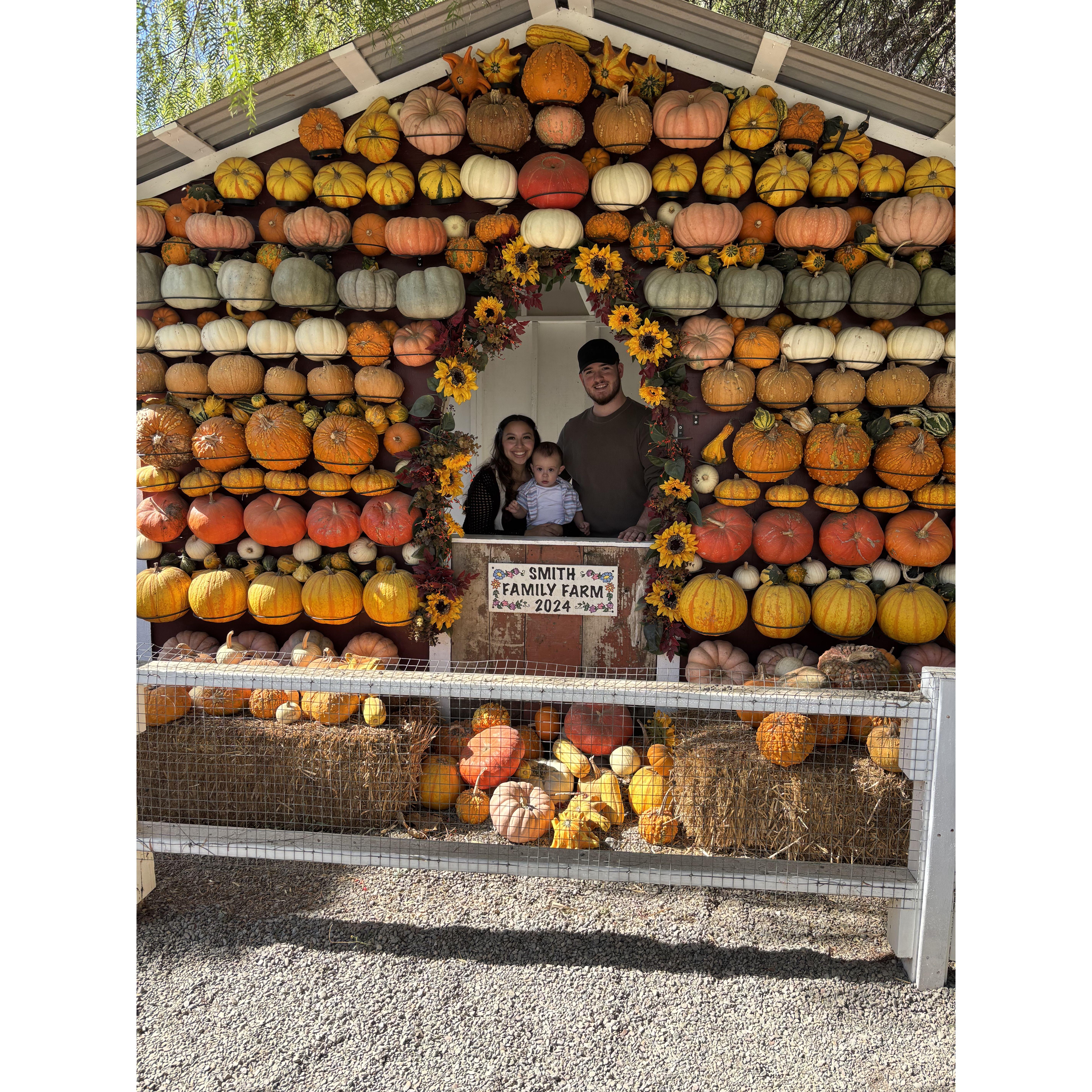 First time at the pumpkin patch with our baby