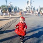 Walt Disney World® Resort