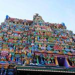 Go Temple-hopping