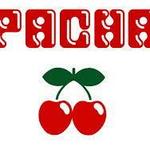 Pacha - Nightclub