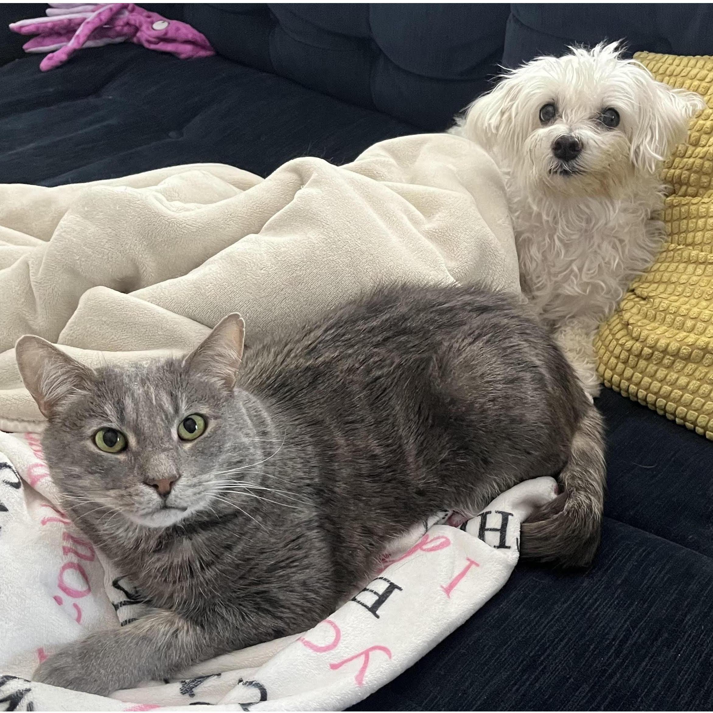 They love each other