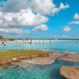 Cenote Cocalitos