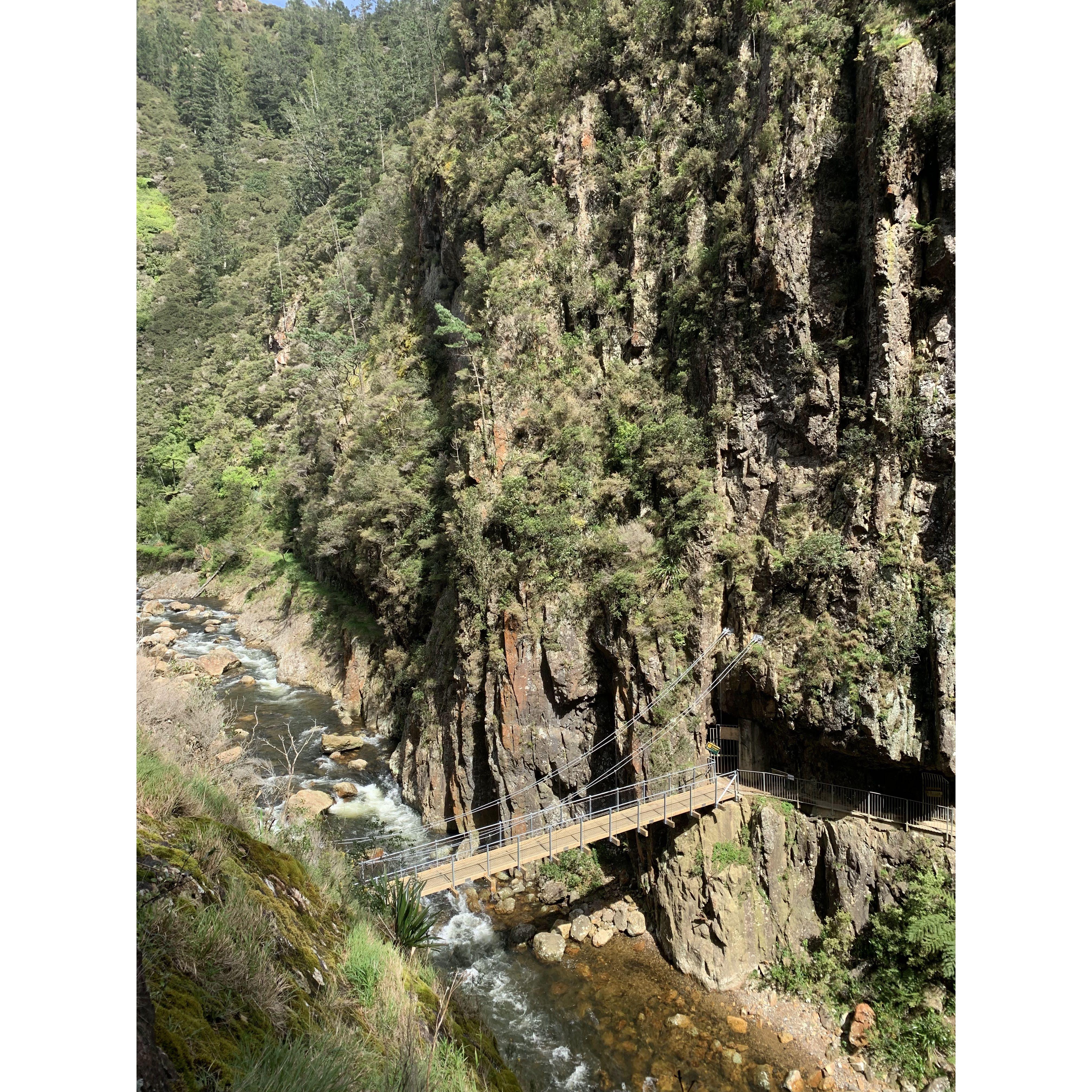 Karangahake gorge, about 1 hour from Tauranga on the way towards Auckland. A good road trip stop