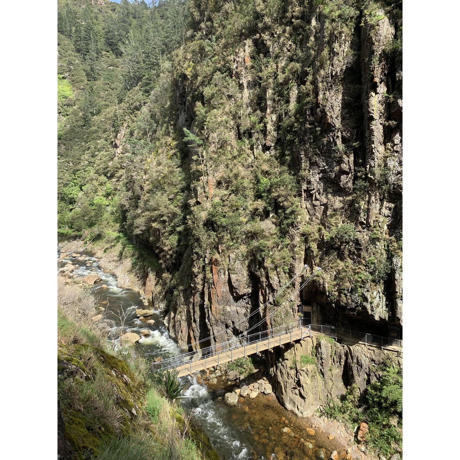 Karangahake gorge, about 1 hour from Tauranga on the way towards Auckland. A good road trip stop