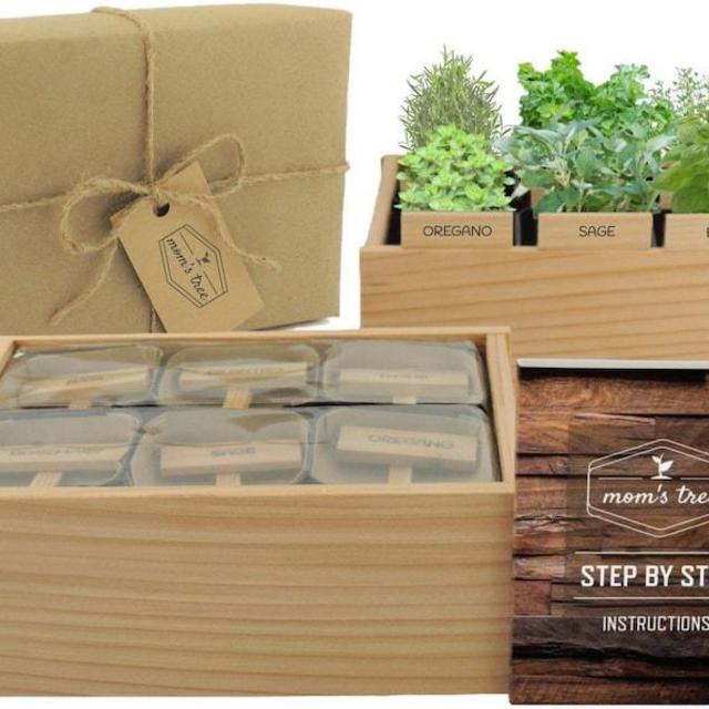 Pick 6 Herb Garden - Window Seed Starter Kit
