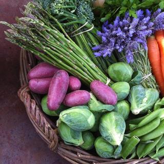 Veggie & Fruit Box