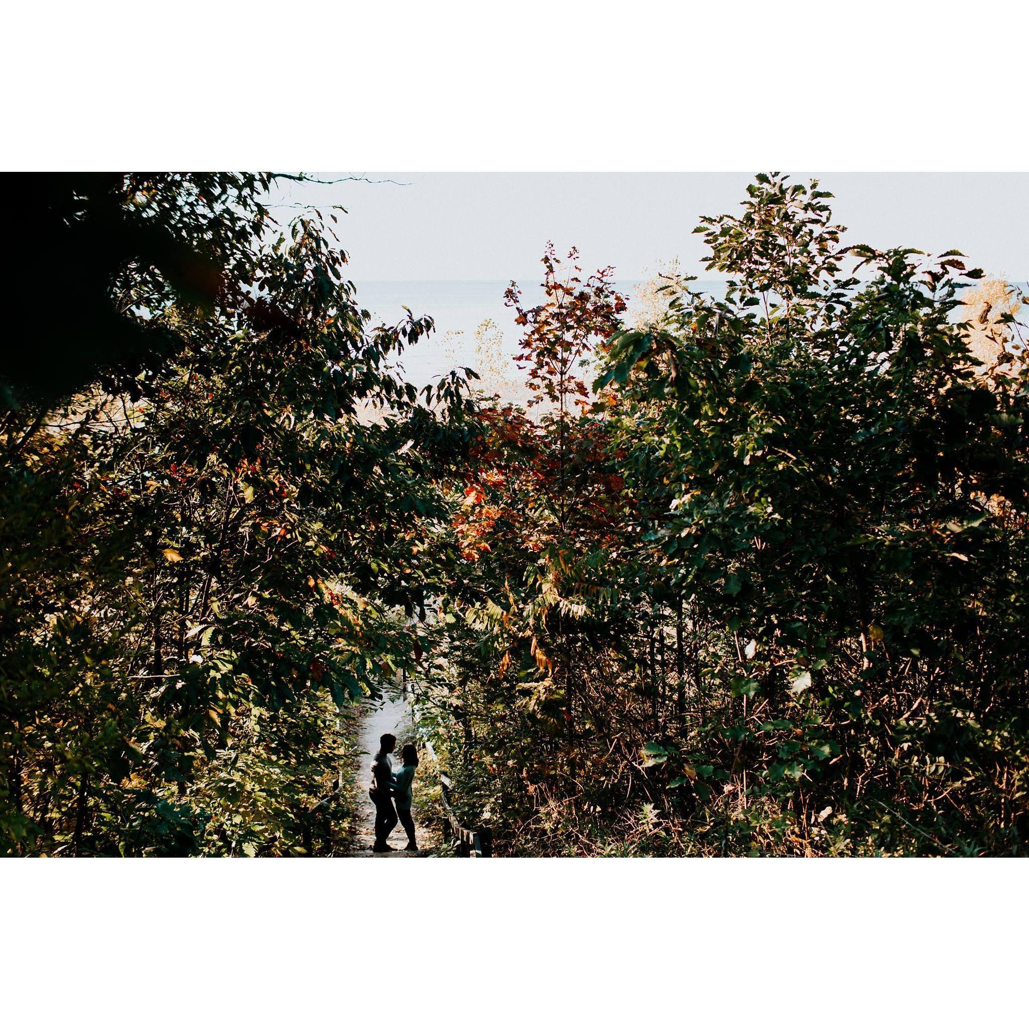Engagement session in Warren Dunes State Park