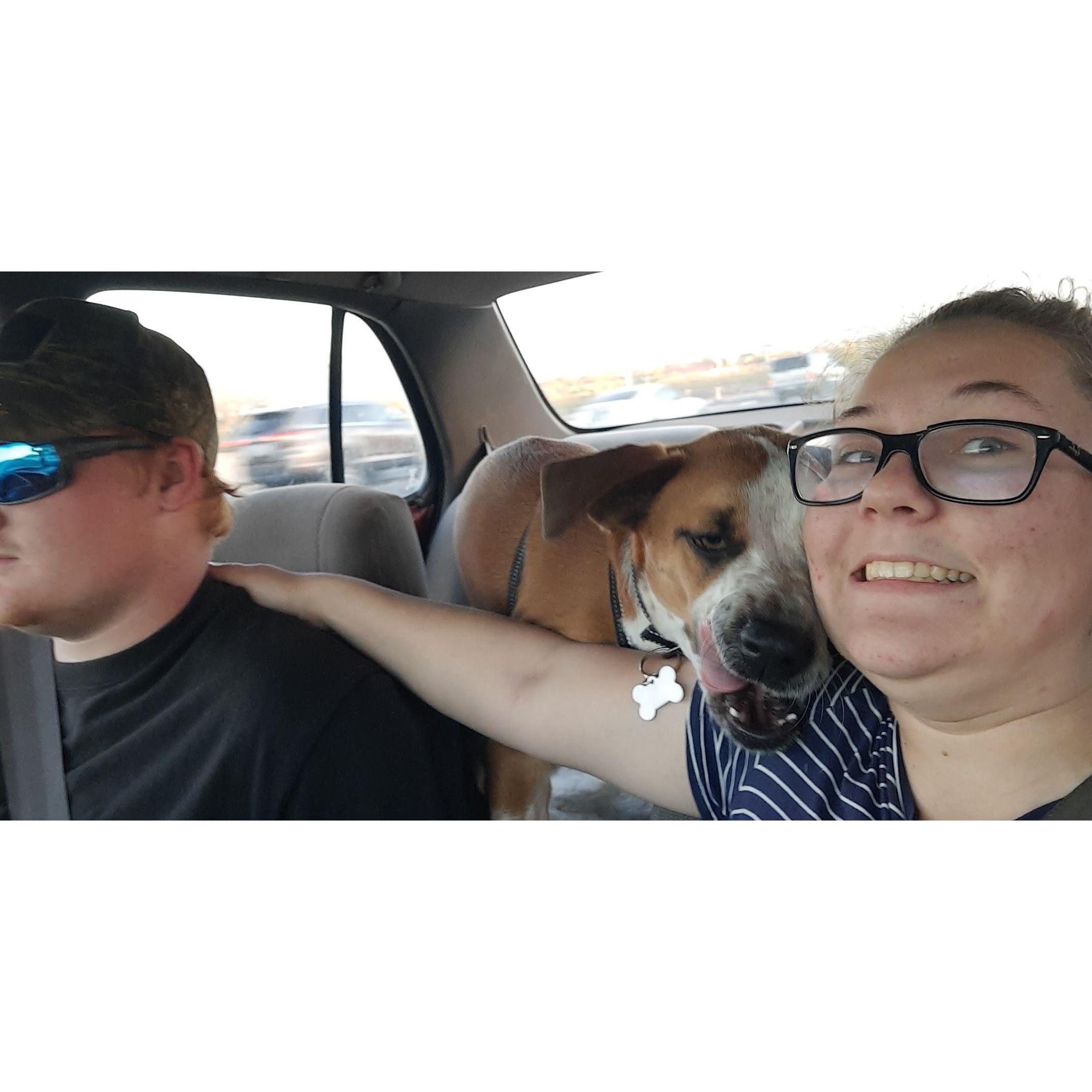 Bringing home our first dog together(Rocco)!