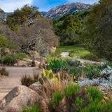 Santa Barbara Botanic Garden