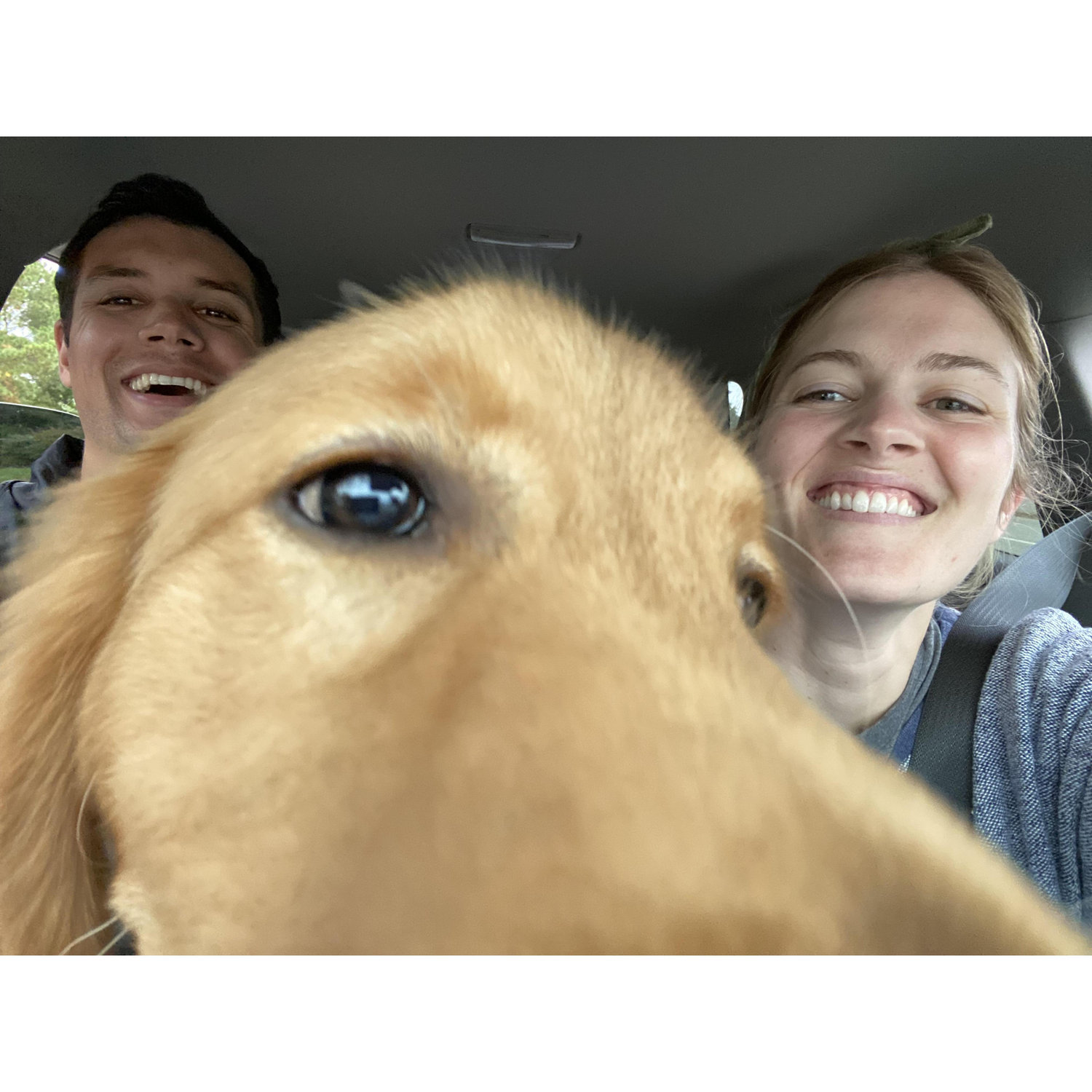 the worst backseat driver
