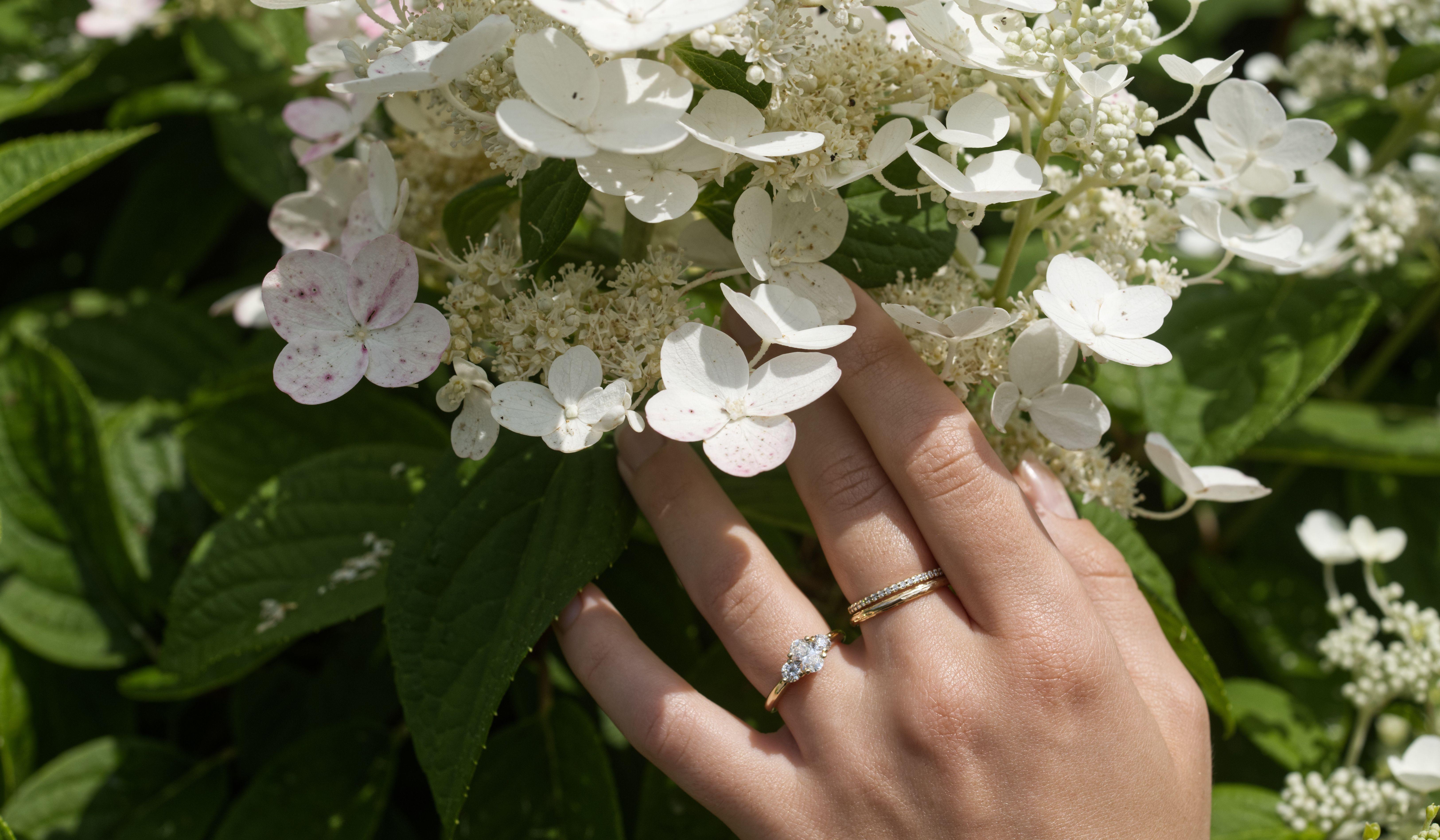 Hero Slideshow Image 0