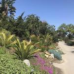 San Diego Botanic Garden